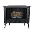 Ashley Hearth Products 34,000 BTU Vent Free Propane Gas Firebox