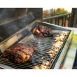 TEC Grills G-Sport Grill - GSNHLPFR/GSNHNTFR