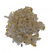 AMSF-GLASS-04