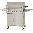 Bull 38" Grill Cart Complete Brahma 5 Burner Lights Rotis & Rotis Burner - 55000/1 - Right Side View
