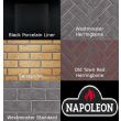 Napoleon Gas Direct Vent Fireplace - Ascent 42 - bricks 2