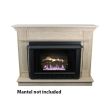 Ashley Hearth Products 34,000 BTU Vent Free Natural Gas Firebox