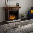 Dimplex Ignite Aspire 30-Inch Built-in Electric Fireplace - ASP30