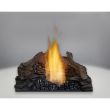 Napoleon Ascent 30 Gas Direct Vent Fireplace - B30 - logs 3