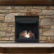 Napoleon Ascent 30 Gas Direct Vent Fireplace - B30 - view 6