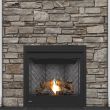 Napoleon Ascent 35 Gas Direct Vent Fireplace - B35NTR