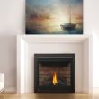 Napoleon Ascent 35 Gas Direct Vent Fireplace - B35NTR