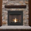 Napoleon Ascent 35 Gas Direct Vent Fireplace - B35NTR