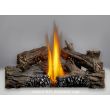 Napoleon Ascent 35 Gas Direct Vent Fireplace - B35NTR