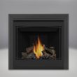 Napoleon Ascent 35 Gas Direct Vent Fireplace - B35NTR