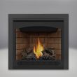 Napoleon Ascent 35 Gas Direct Vent Fireplace - B35NTR