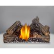 Napoleon Ascent 36 Gas Direct Vent Fireplace - B36NTR