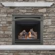 Napoleon Ascent 36 Gas Direct Vent Fireplace - B36NTR