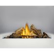 Napoleon Ascent 42 Gas Direct Vent Fireplace - B42NTR - logs