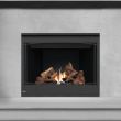Napoleon Ascent 42 Gas Direct Vent Fireplace - B42NTR