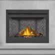Napoleon Ascent 46 Gas Direct Vent Fireplace - B46 - view 2