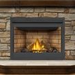 Napoleon Ascent 46 Gas Direct Vent Fireplace - B46