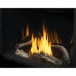 Napoleon Ascent 30 Gas Direct Vent Fireplace - B30 - logs 1