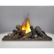 Napoleon Gas Direct Vent Peninsula Fireplace - BHD4P