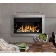Napoleon Ascent 36 Linear Gas Fireplace - BL36NTE-1