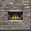 Napoleon Ascent 36 Linear Gas Fireplace - BL36NTE-1