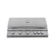 Blaze 40-Inch 5-Burner Premium LTE+ 