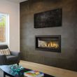 Napoleon Ascent 46" Linear Premium Direct Vent Gas Fireplace - BLP46