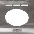 BLZ-4PRO-CART-LTSC