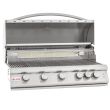 Blaze LTE 40-Inch 5-Burner Built-In Gas Grill With Rear Infrared Burner & Grill Lights - open no lights