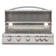 Blaze Gas Grill- LTE - 5 Burner With Lights - Propane
