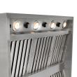 Blaze 42-Inch Stainless Steel Outdoor Vent Hood - 2000 CFM - BLZ-WVH-42