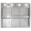 Blaze 42-Inch Stainless Steel Outdoor Vent Hood - 2000 CFM - BLZ-WVH-42