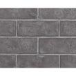 Napoleon Ascent 42 Gas Direct Vent Fireplace - B42NTR - bricks 5