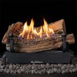 Buck Stove 18" CR8T Ventless Gas Logs & Manual Burner for LP