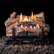 Buck Stove 18" CR Ventless Gas Logs with Millivolt for NG