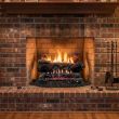 Buck Stove 30" Ember Vision Ventless Gas Log Set with Millivolt Ignition and Remote Control for Propane - GL EV200OLP