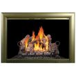 Design Specialties Glass Fireplace Door -  Bungalow