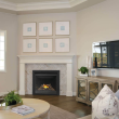 Napoleon Ascent 36" Direct Vent Gas Fireplace - BX36