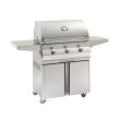 Fire Magic Choice 540i 30-Inch Freestanding Gas Grill - C540s-RT1P/RT1N