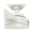 Hunter Cassius Outdoor 52 Inch Ceiling Fan Fresh White - 59263 - Close View  4