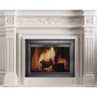 Thermo-Rite Fireplace Glass Door - Celebrity Quick Ship