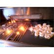 Lion Grill Island- Premium Q