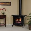 Empire Gas Direct Vent Stove - Medium
