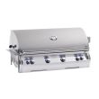 Fire Magic Echelon Diamond 1060i 48-Inch Built-In Natural Gas Grill With Analog Thermometer - E1060i-8EAN