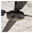 Hunter ECO 24 Ft, 8 HP 240 Volt Single Phase Ceiling Fan - ECO241P240V - Close View