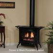 Empire Gas Direct Vent Stove - Medium