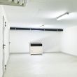Williams 2203821 22,000 BTU Gravity Furnace, Propane, Direct Vent designed for efficient heating in homes, garages, and workshops