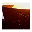 Fire Pit Art Wood Fire Pit- Funky Dog