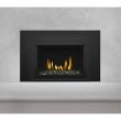 Napoleon Gas Direct Vent Fireplace Insert - GDIG3 Black