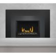 Napoleon Gas Direct Vent Fireplace Insert - GDIG3 Large Charcoal